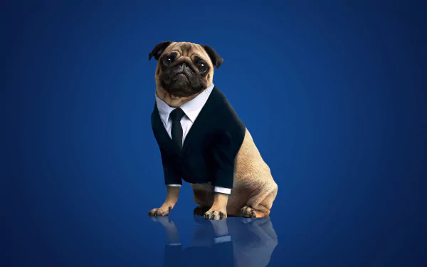 Frank the Pug movie Men in Black: International HD Desktop Wallpaper | Background Image