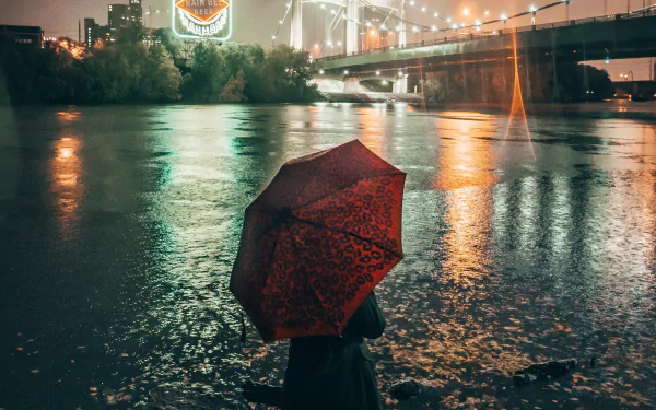 bridge night umbrella woman rear HD Desktop Wallpaper | Background Image