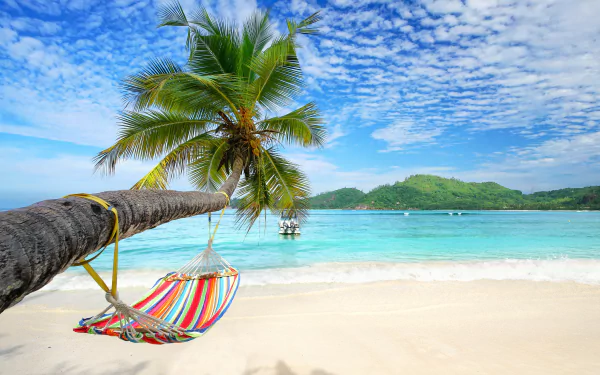 A vibrant 4K Ultra HD tropical beach scene featuring a colorful hammock tied to a palm tree over white sand, with clear turquoise sea and a partly cloudy summer sky.