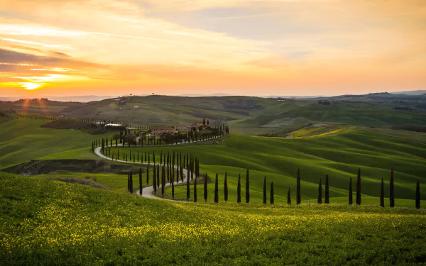 Winding road through rolling hills and cypress trees in Tuscany, Italy, captured in a vibrant 4K Ultra HD nature landscape at sunset.