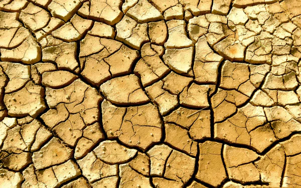  Dry, cracked ground