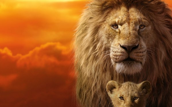 Movie The Lion King (2019) Simba Mufasa HD Wallpaper | Background Image