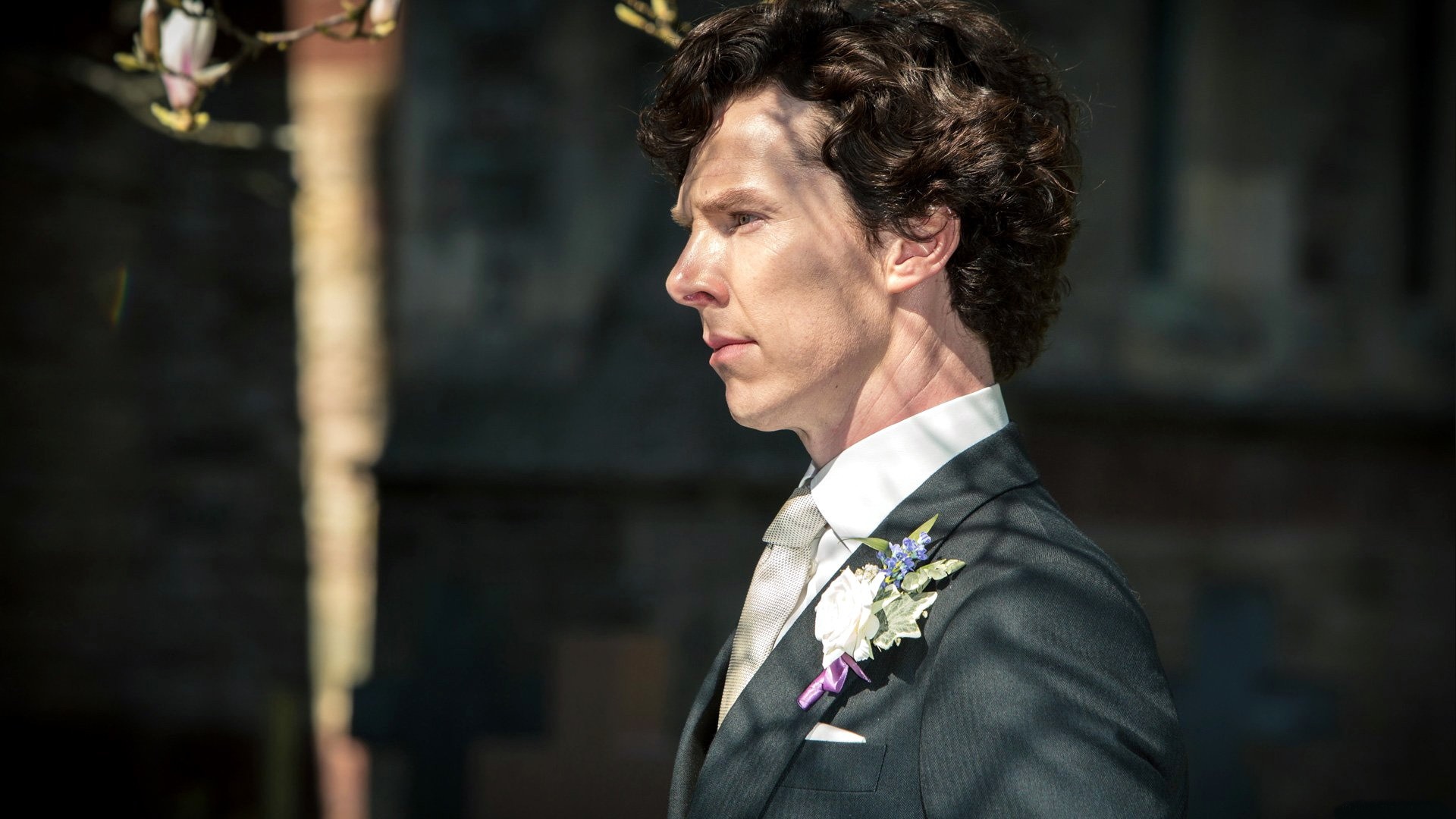 Download Benedict Cumberbatch Sherlock Holmes TV Show Sherlock TV Series HD Wallpaper