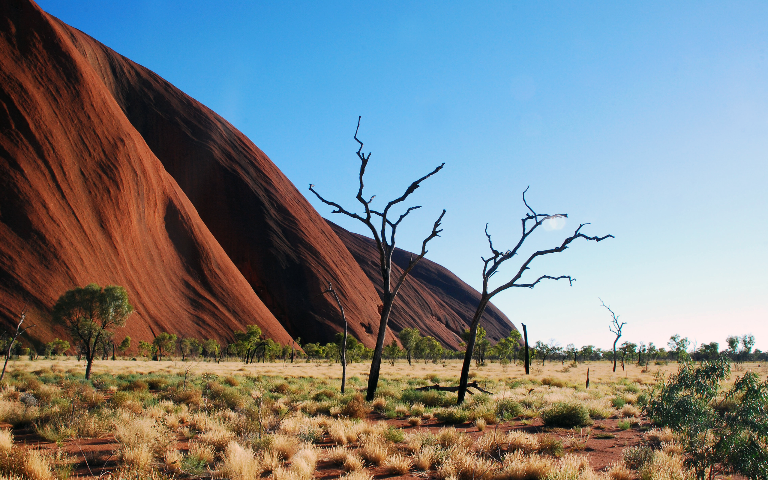 Uluru Ayers Rock, iconic Australian monument surrounded by blue sky, shrubs, and surreal scenery.