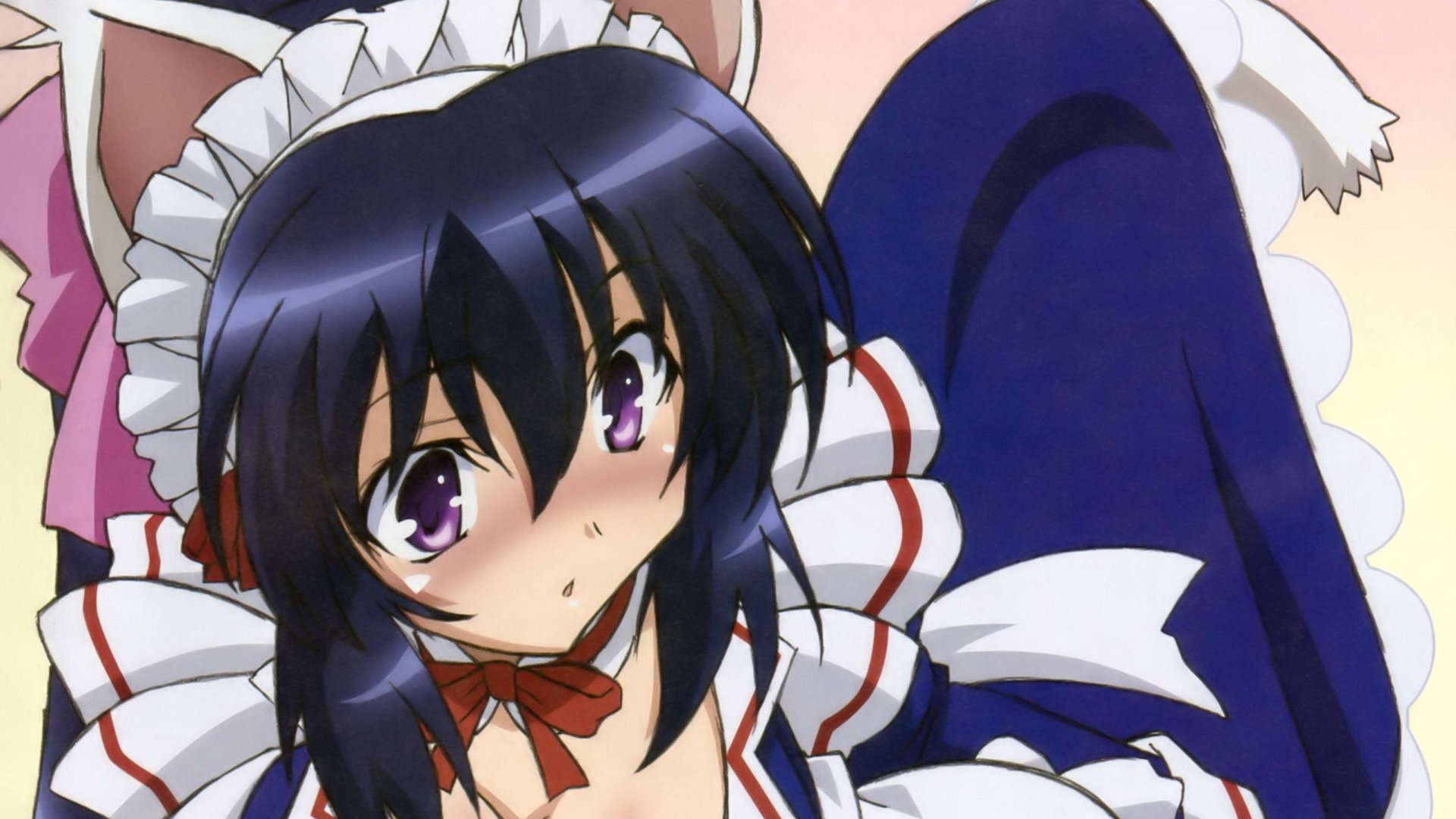Download Himari Noihara Anime Omamori Himari HD Wallpaper