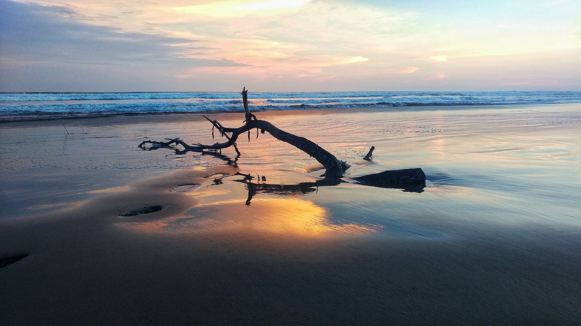 HD desktop wallpaper of a serene beach at sunset with driftwood resting on the shore, reflecting the colorful sky over the calm ocean horizon.