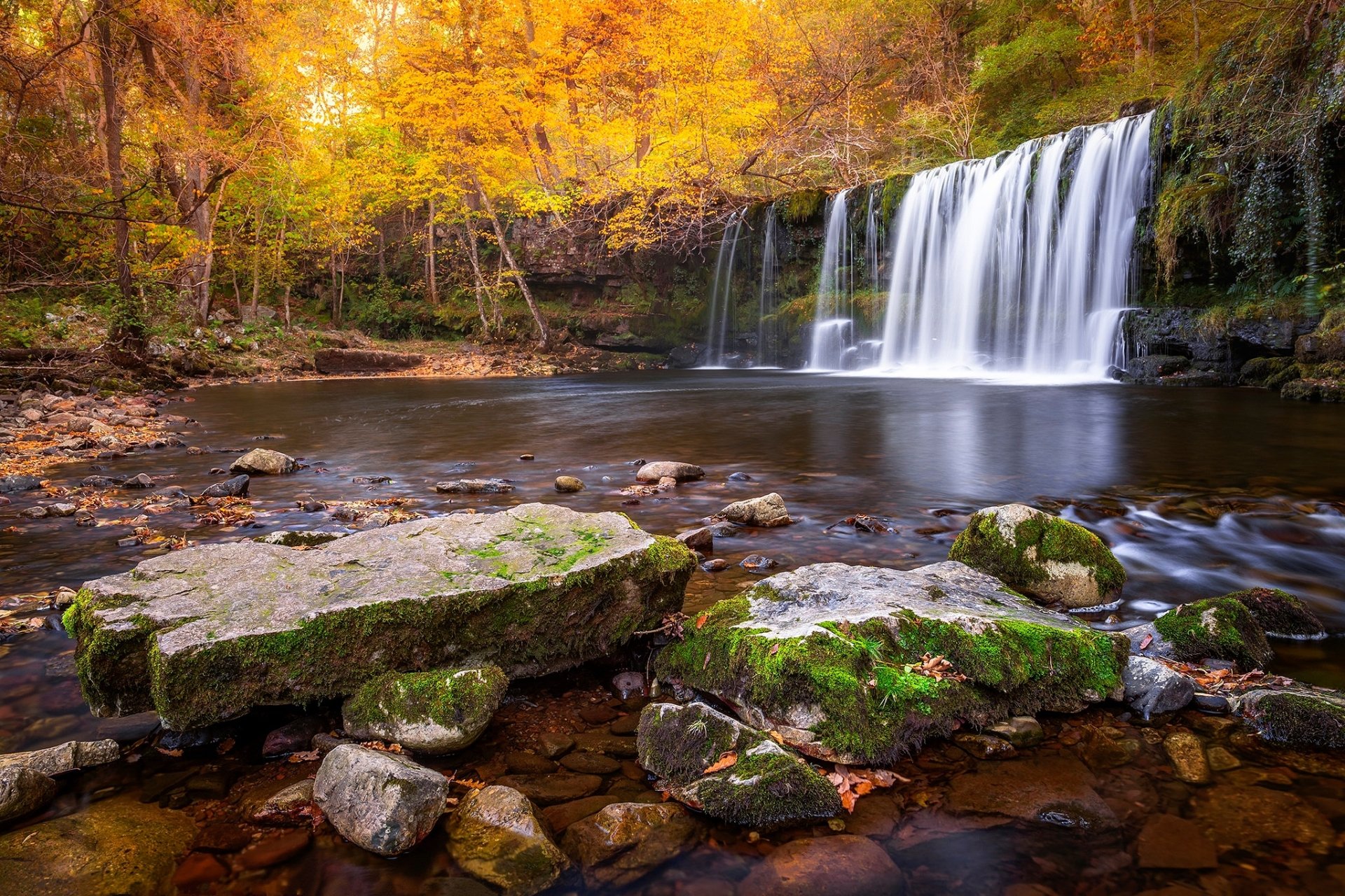 Download Nature Fall Waterfall HD Wallpaper