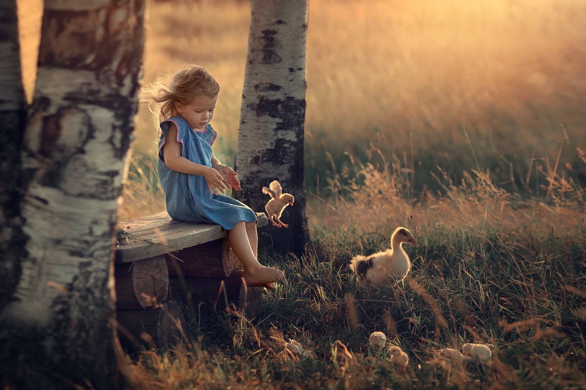 Download Baby Animal Little Girl Bird Photography Child HD Wallpaper