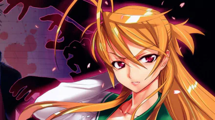 Rei Miyamoto Anime Highschool Of The Dead HD Desktop Wallpaper | Background Image