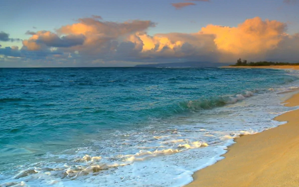 A serene Hawaiian beach scene featuring soft waves lapping at the shore, under a sky adorned with fluffy clouds, captured in vibrant HD photography.
