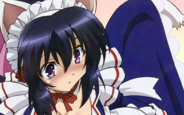 Himari Noihara Anime Omamori Himari HD Desktop Wallpaper | Background Image