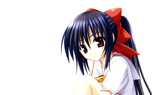 Himari Noihara Anime Omamori Himari HD Desktop Wallpaper | Background Image