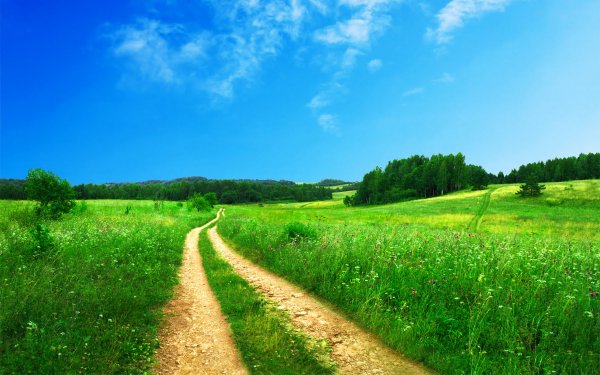 Earth Landscape Field Road Path Grass Nature Meadow HD Wallpaper | Background Image