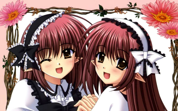 Kikyou (Shuffle!) Lisianthus (Shuffle!) Anime Shuffle! HD Desktop Wallpaper | Background Image