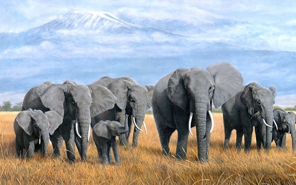 Animal African bush elephant Elephants Baby Animal Painting HD Wallpaper | Background Image