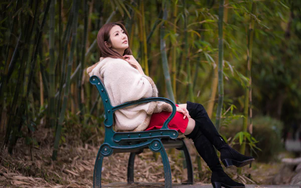 Brunette woman model in a red dress with black knee-high boots seated on a park bench among bamboo — 5K Ultra HD PC desktop wallpaper/background.