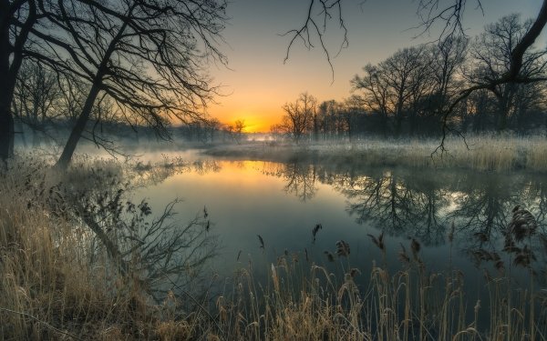 Earth Reflection Nature Lake Sunrise Fog HD Wallpaper | Background Image
