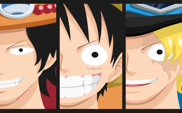  One Piece - Trio
