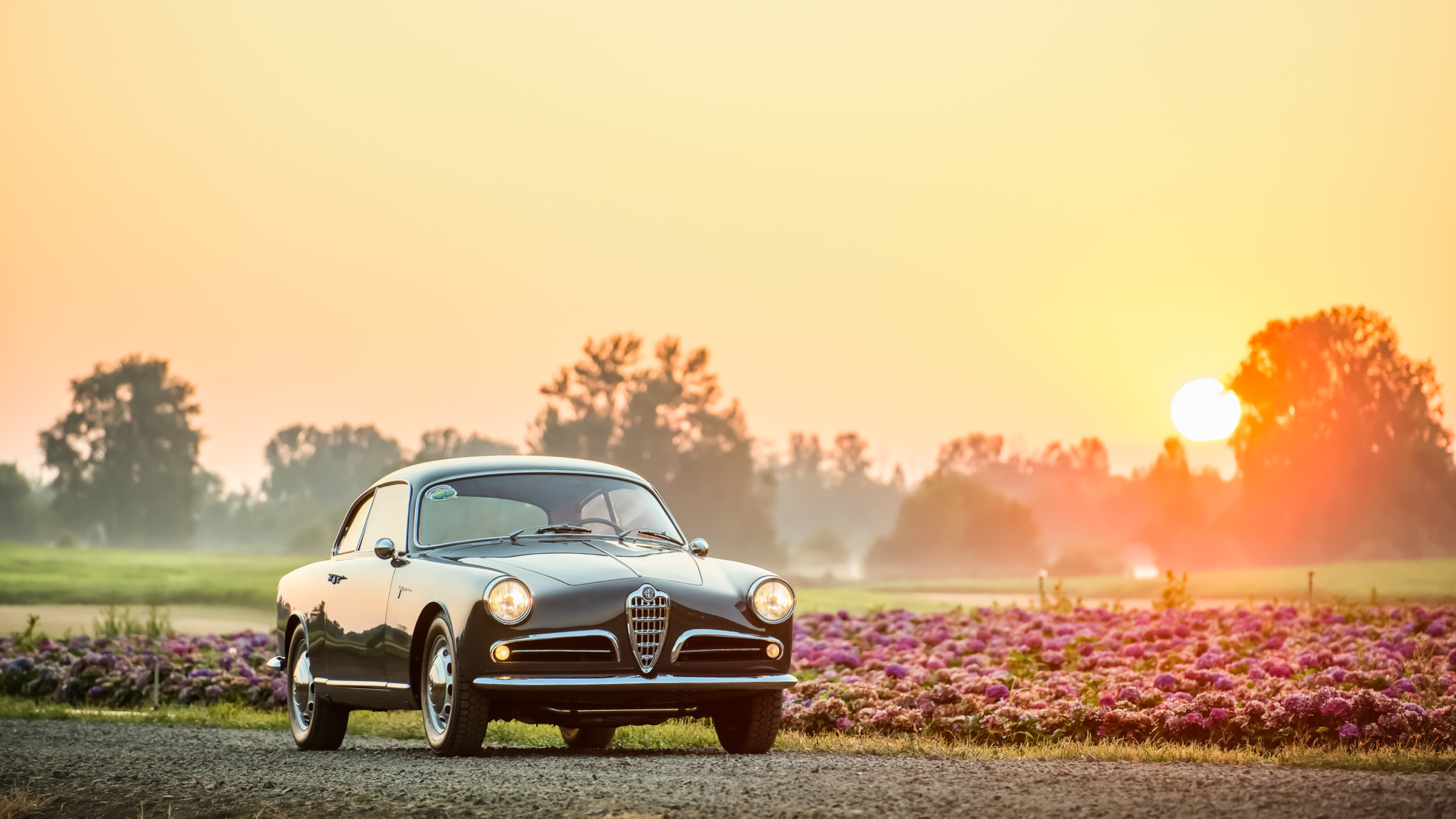 1958 Alfa Romeo Giulietta Sprint Veloce Confortevole