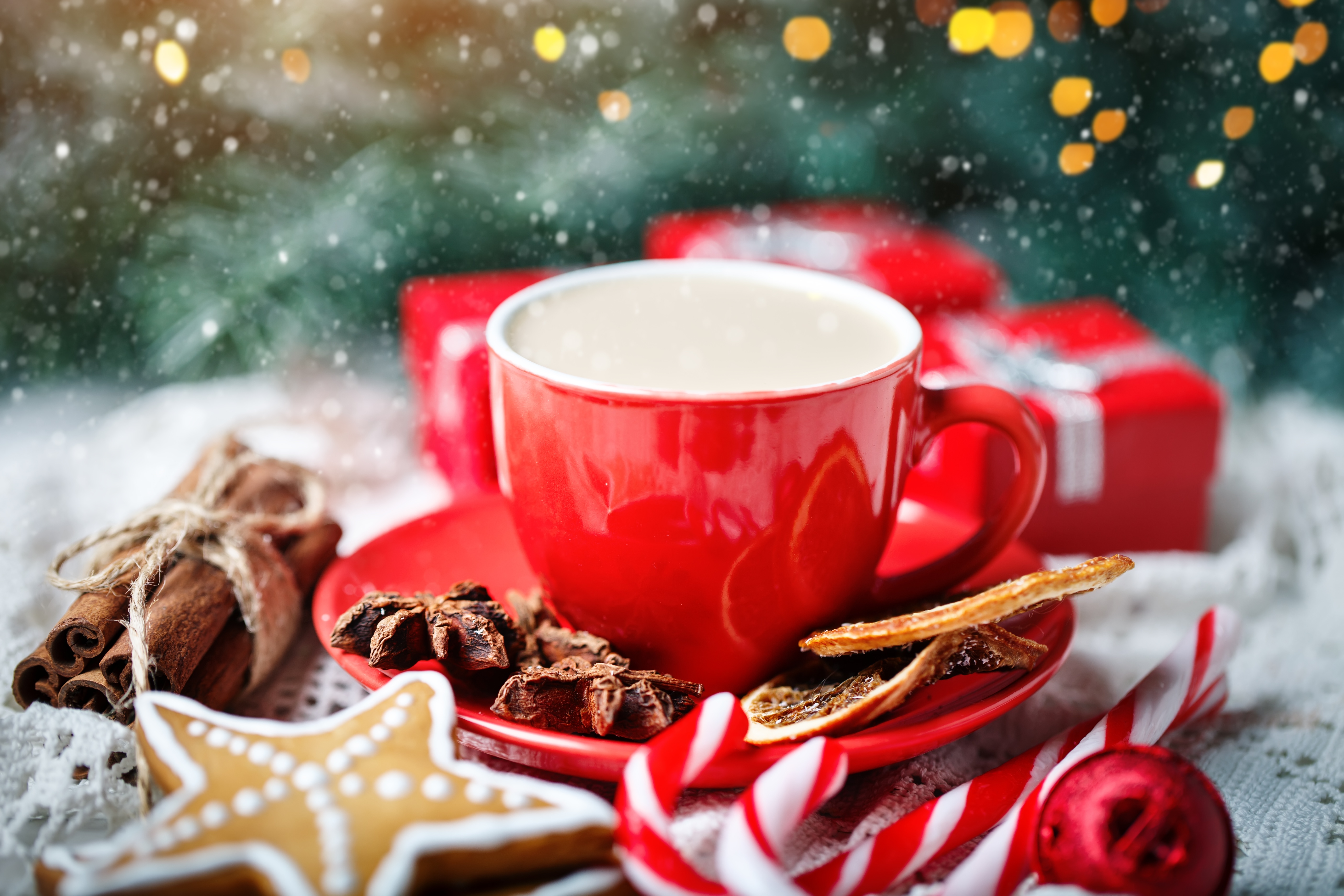 Download Candy Cane Star Anise Cookie Cinnamon Cup Holiday Christmas 4k ...