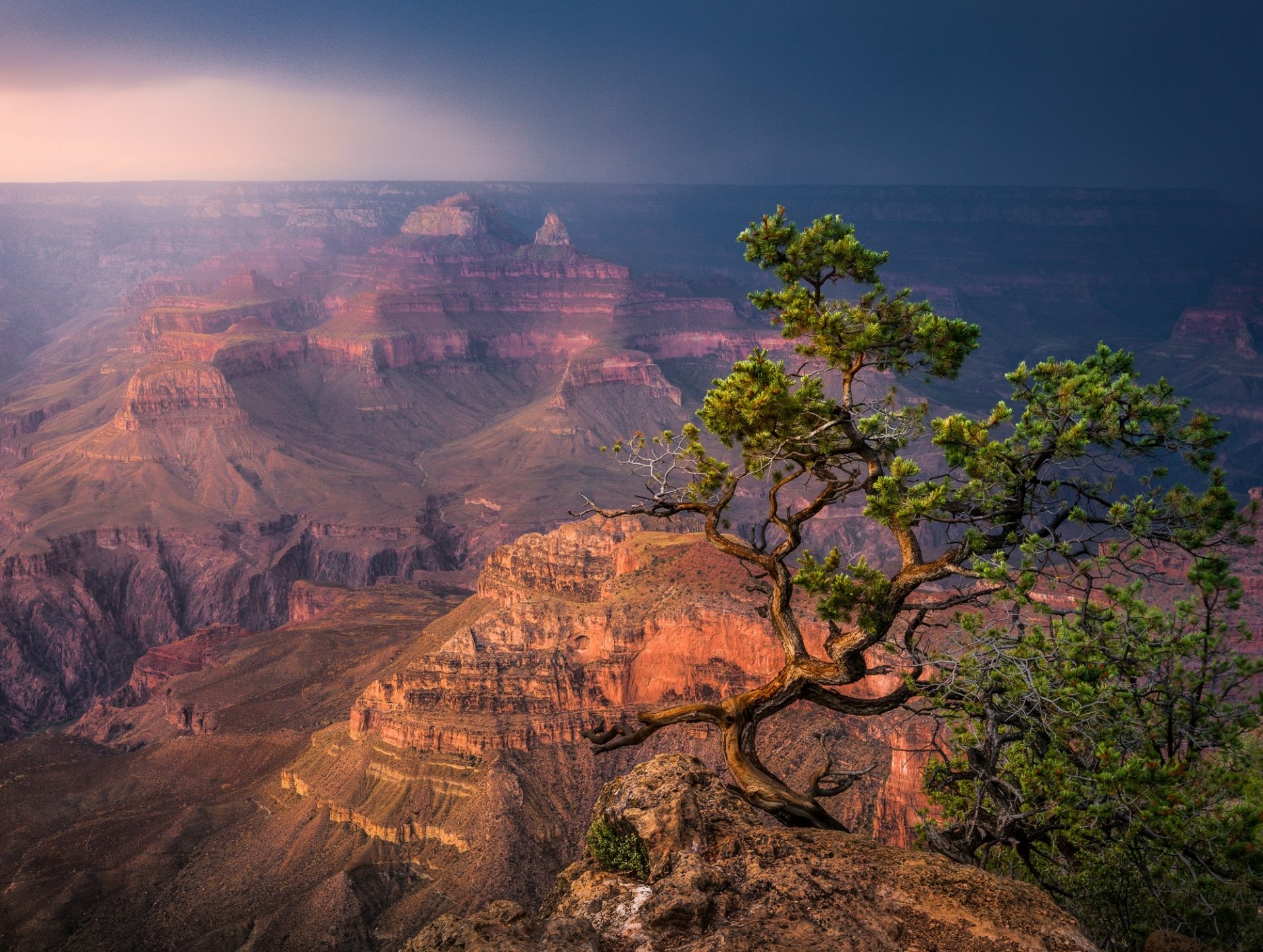 Arizona Desert