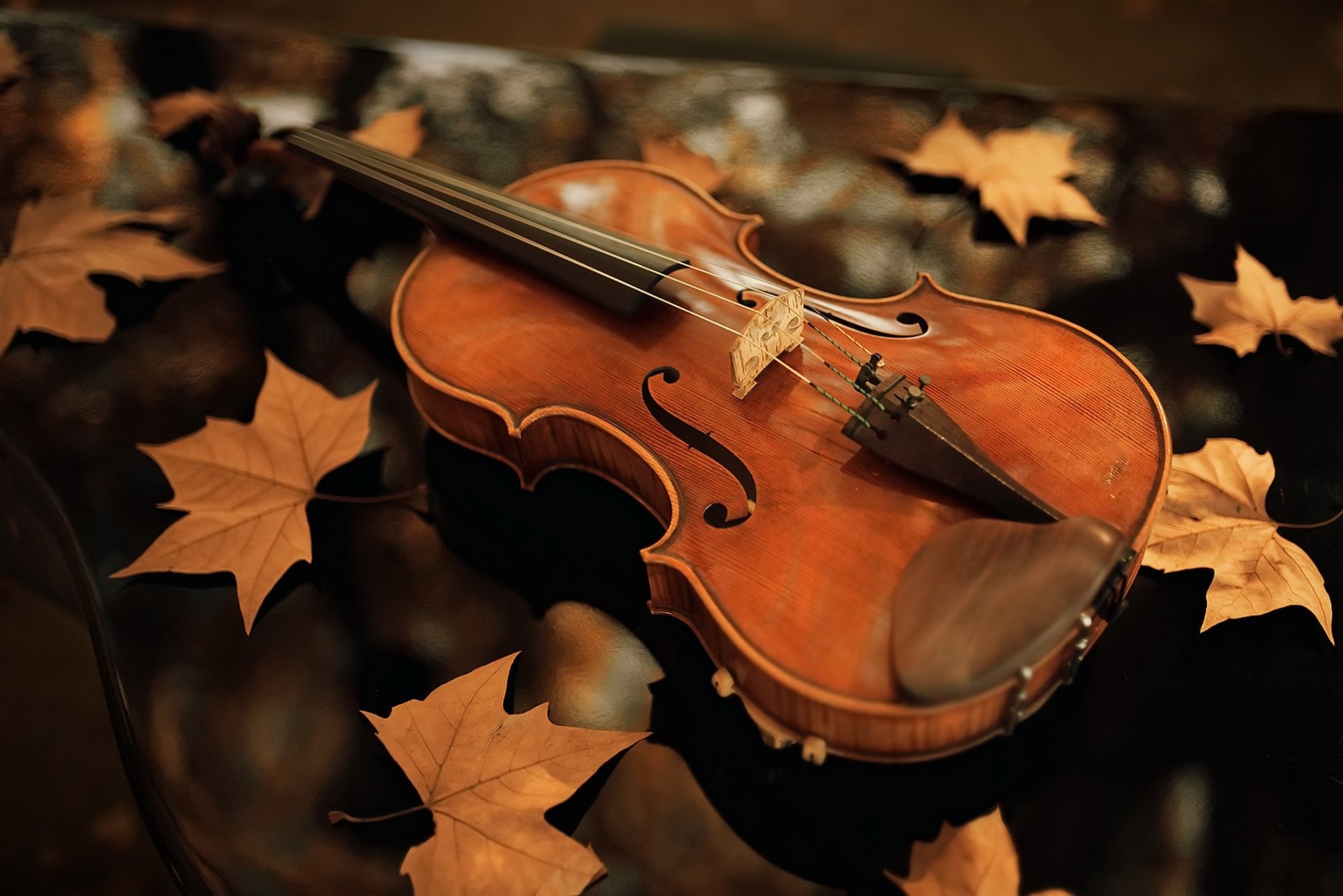 Music Violin HD Wallpaper