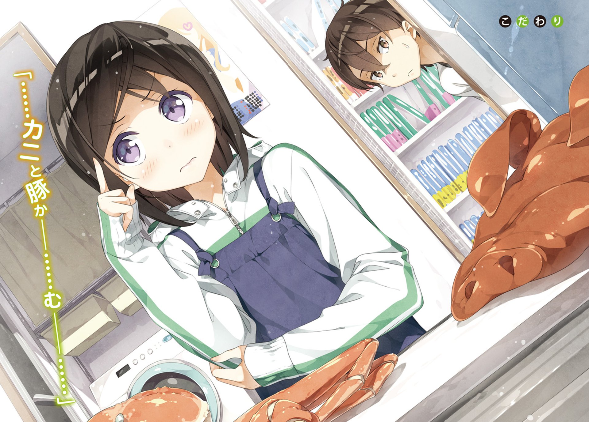 Download Itsuki Hashima Chihiro Hashima Anime A Sister's All You Need HD Wallpaper