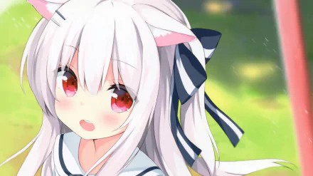 red eyes white hair animal ears Anime Original HD Desktop Wallpaper | Background Image