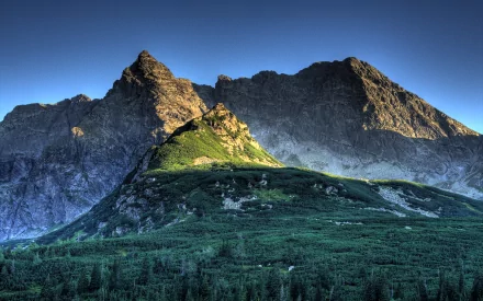 Scenic view of the Tatra mountains in Poland, featuring lush forests and striking peaks bathed in early morning light. A stunning nature wallpaper for any desktop background.