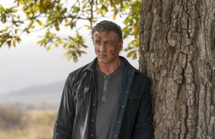 Rambo Sylvester Stallone movie Rambo: Last Blood HD Desktop Wallpaper | Background Image