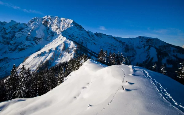 Snow-covered mountain and forest under a clear blue sky in winter, captured in HD for a nature-themed desktop wallpaper background.