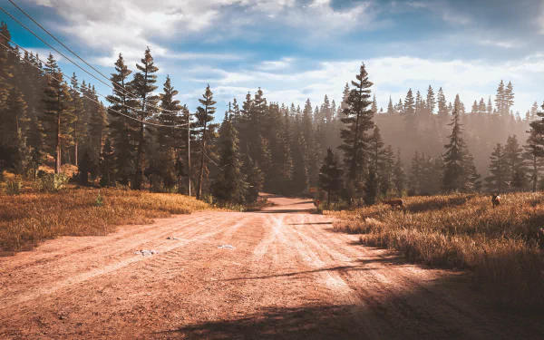 HD PC desktop wallpaper featuring a scenic dirt road flanked by pine trees in the video game Far Cry 5, showcasing its natural, immersive environment.
