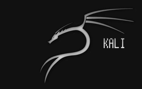 HD desktop wallpaper featuring the Kali Linux dragon logo in sleek gray tones on a black background, symbolizing technology and cybersecurity.