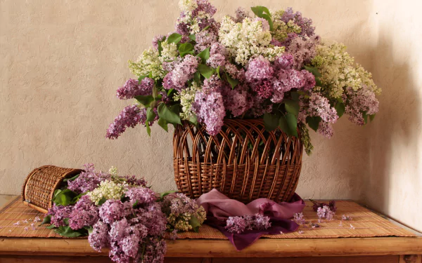  Lilac Still Life