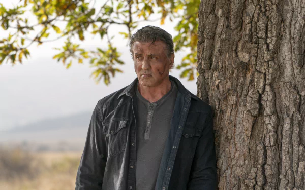 Rambo Sylvester Stallone movie Rambo: Last Blood HD Desktop Wallpaper | Background Image