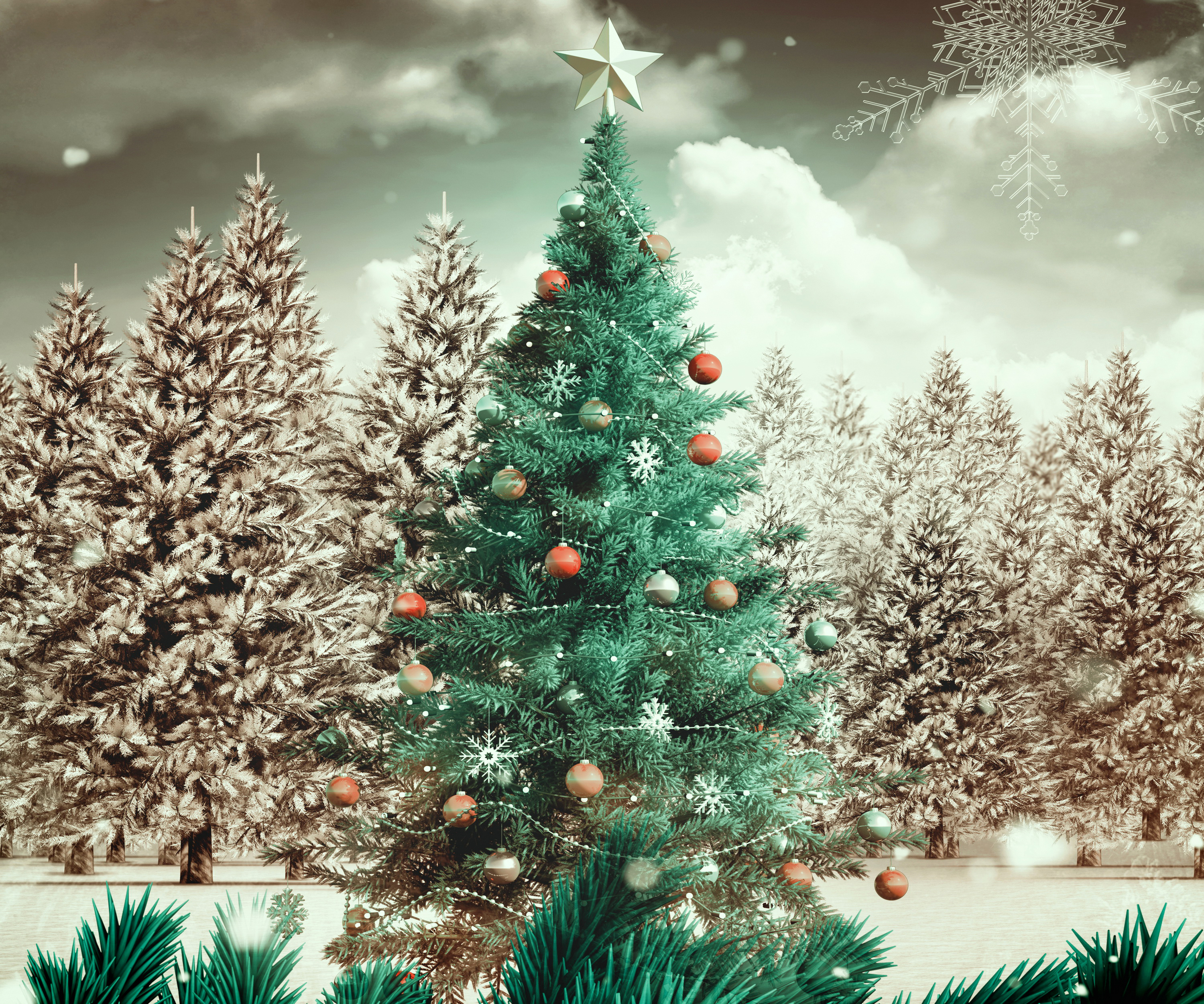 Christmas HD Wallpaper | Background Image | 3000x2500