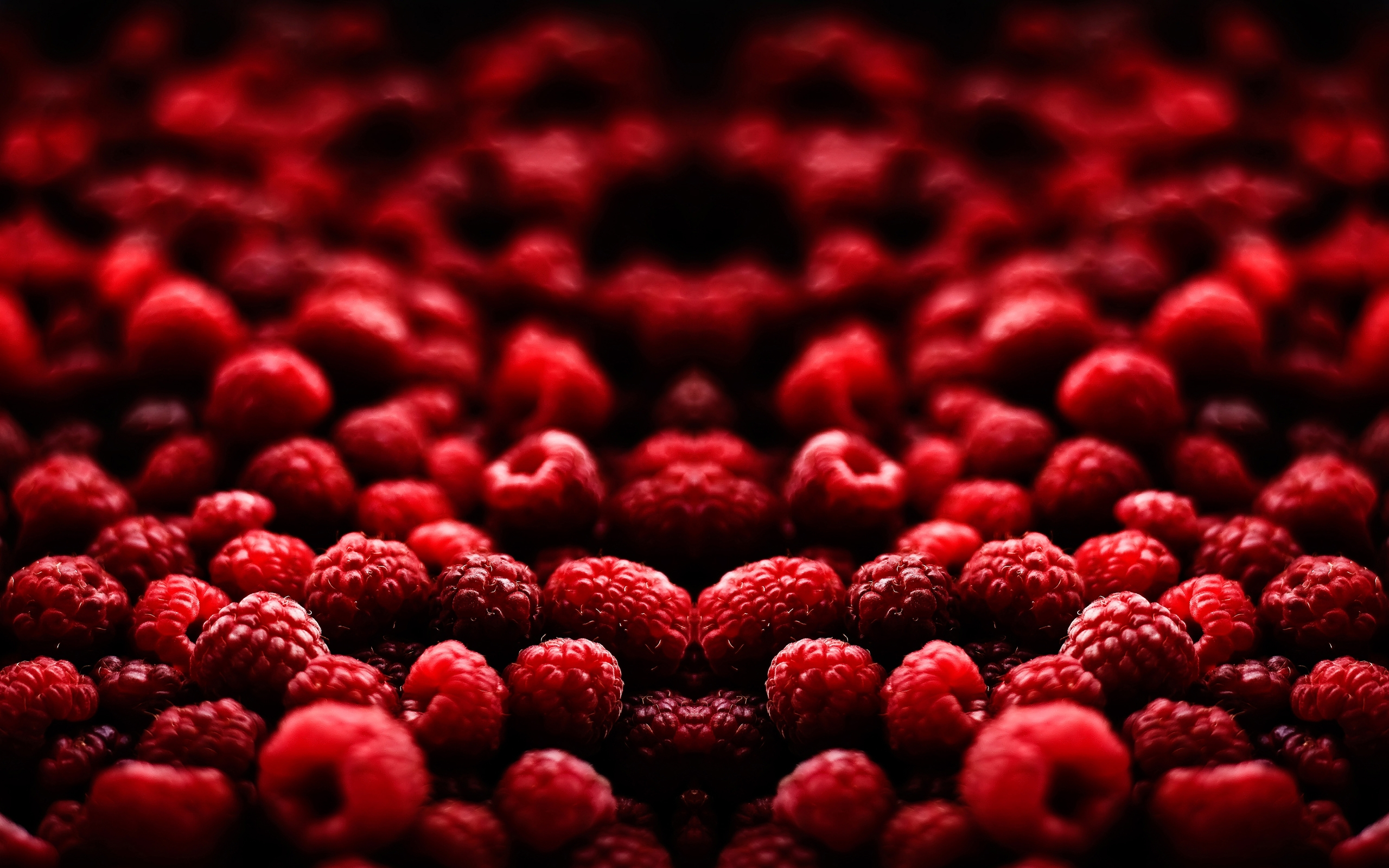 Gorgeous raspberry close-up, perfect for food lovers.