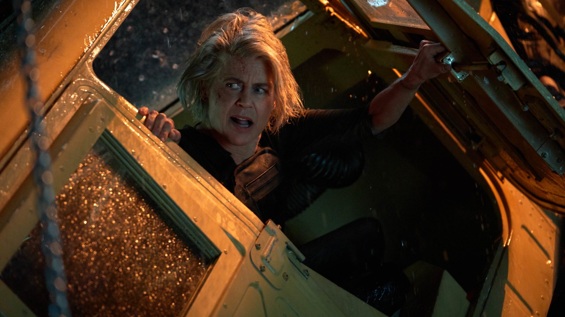 Download Sarah Connor Linda Hamilton Movie Terminator: Dark Fate HD Wallpaper