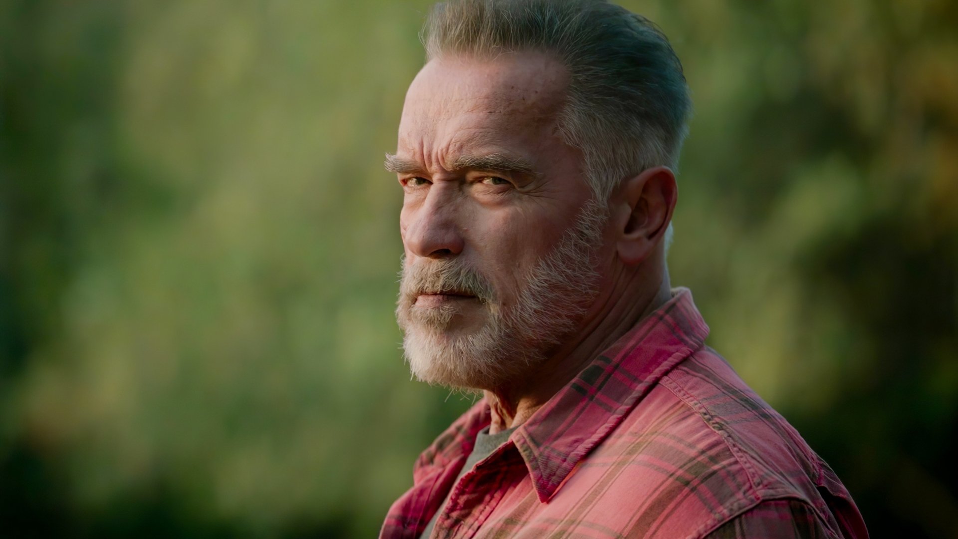 Download Arnold Schwarzenegger Movie Terminator: Dark Fate HD Wallpaper