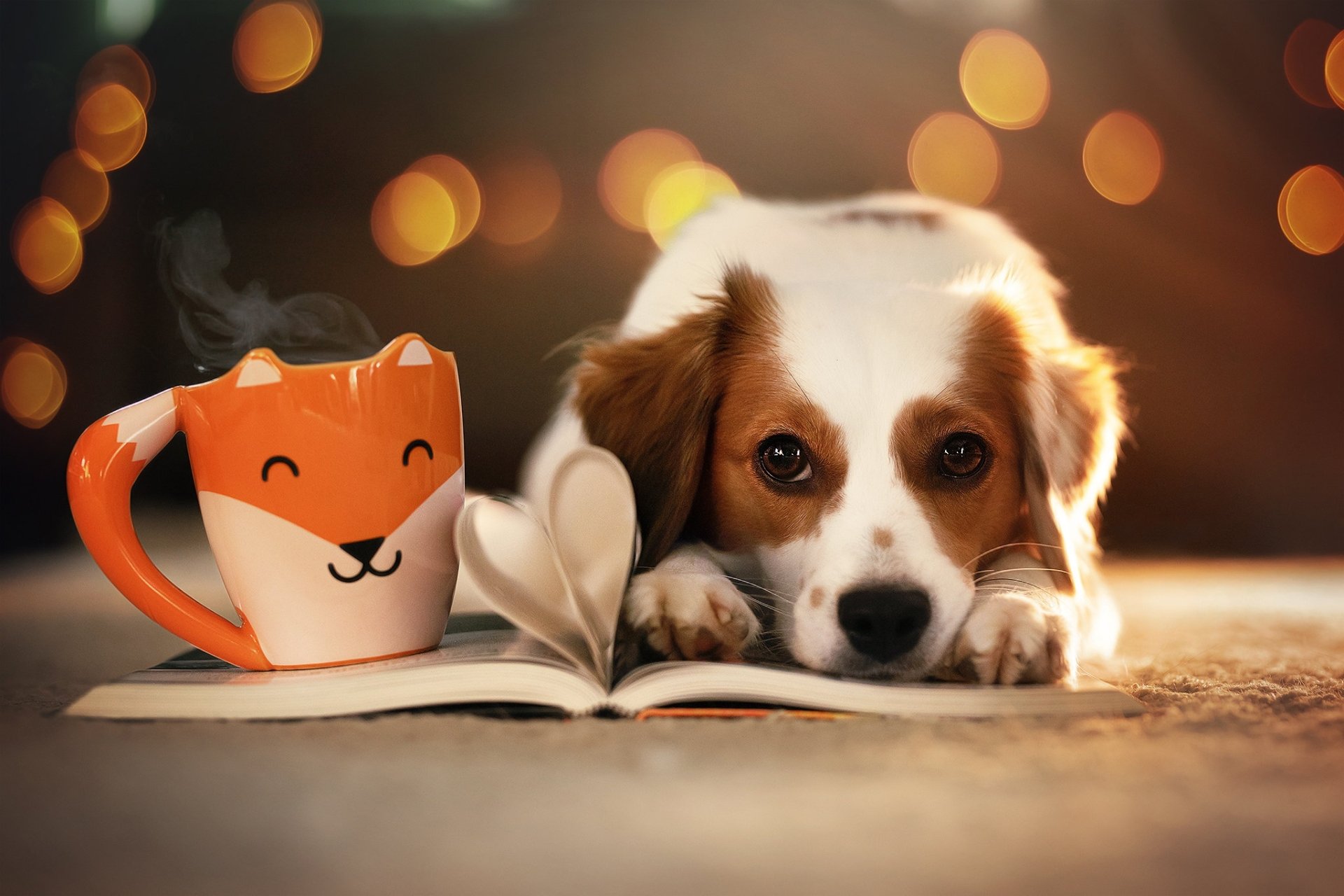 HD PC desktop wallpaper: a cute dog resting on an open book beside a steaming fox-shaped cup, warm bokeh lights glowing in the background.
