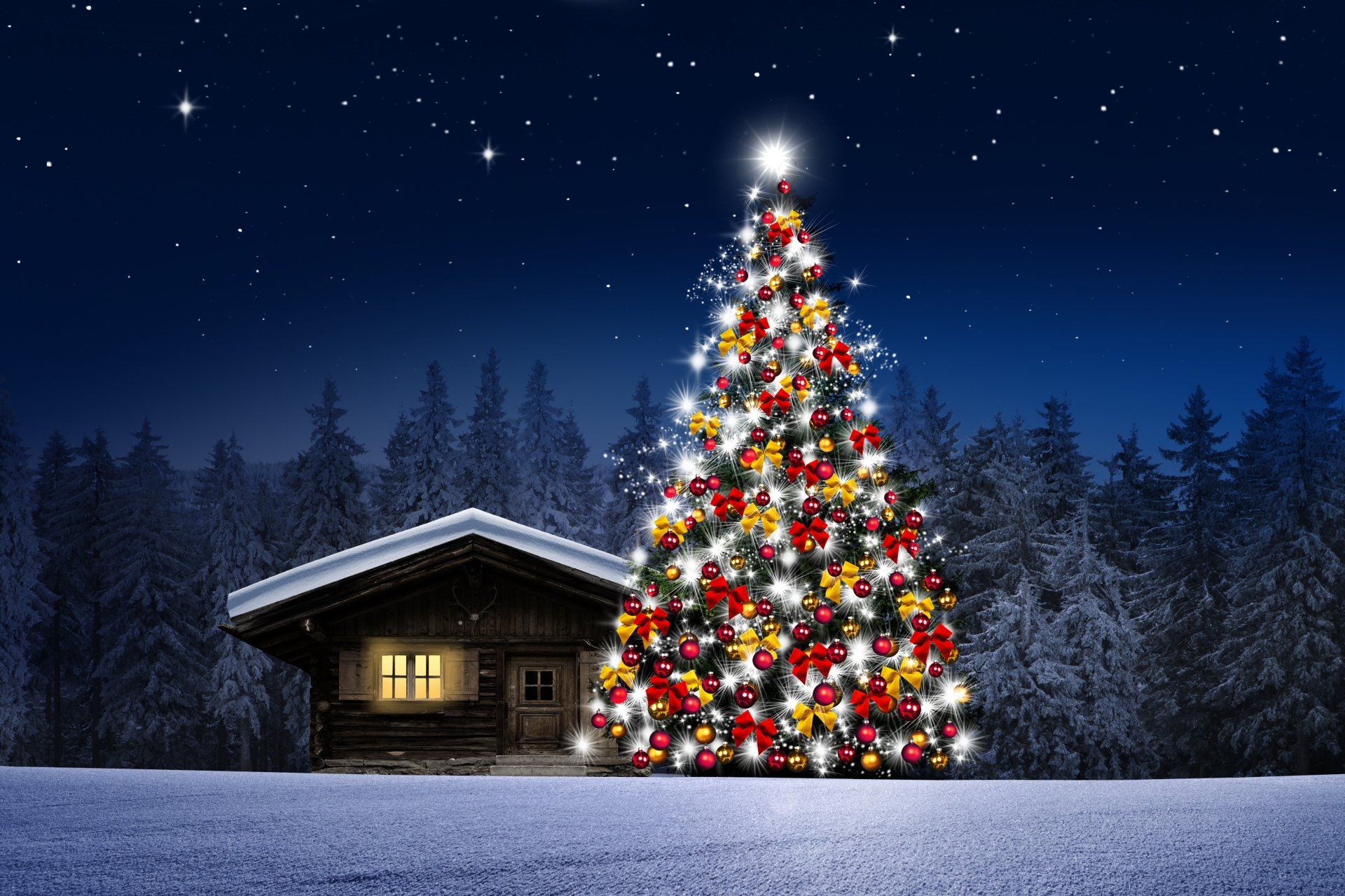 Download Christmas Tree Forest Snow Cabin Holiday Christmas 4k Ultra Hd Wallpaper 