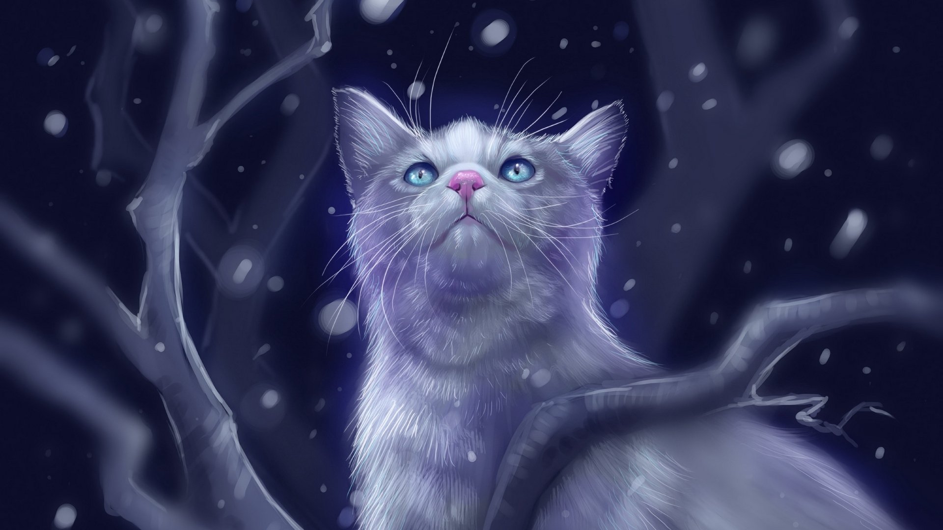 Cat Looking up at the Starry Sky by Followthepaws