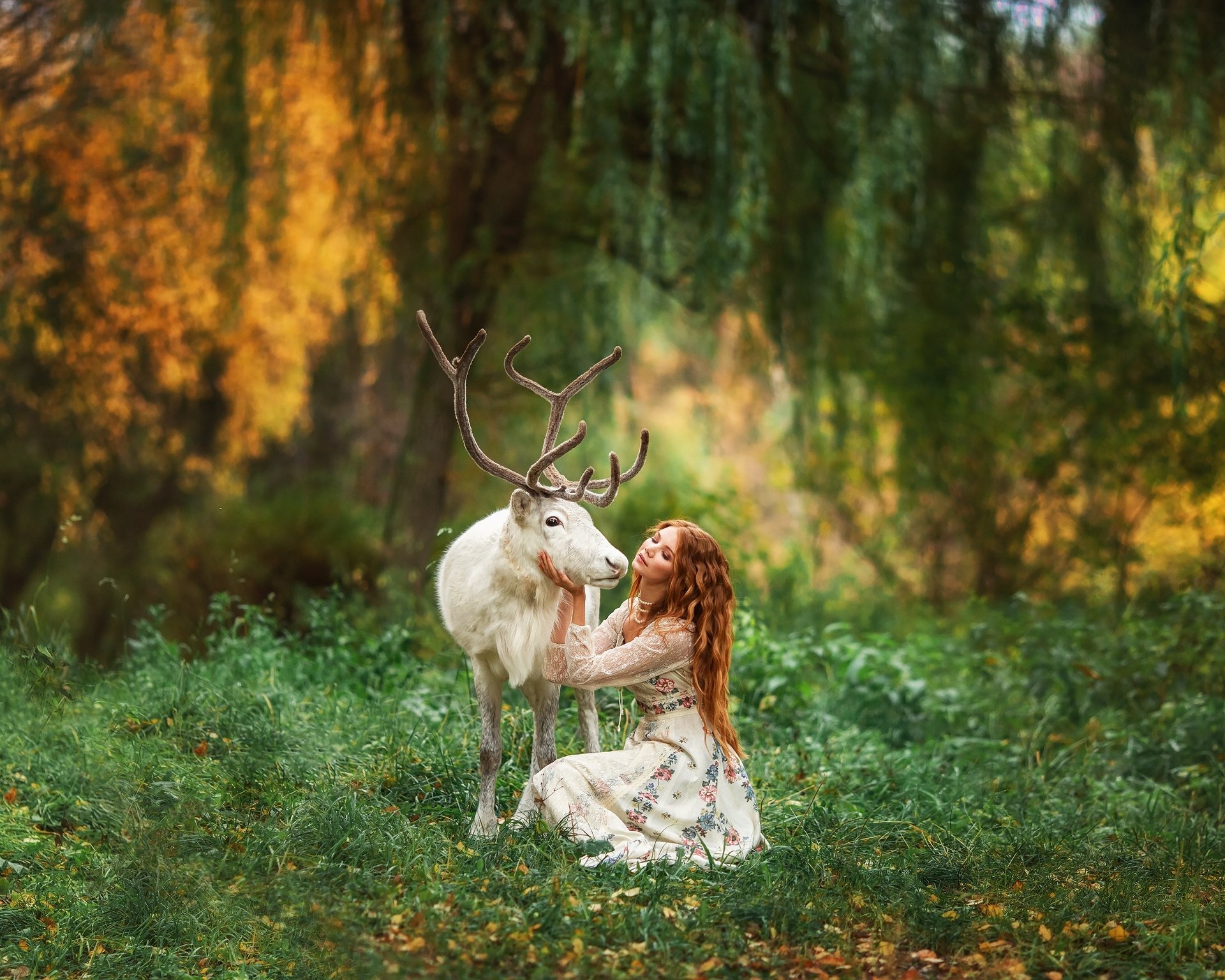 Девушка на олене. Девушка олень. Фотосессия с оленем. Девушка с олененком. Олень в лесу.