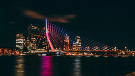 Night cityscape of the man-made Erasmus Bridge and illuminated Rotterdam skyline reflected on water — 5K Ultra HD PC desktop wallpaper and background.