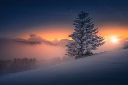 A solitary snow-covered tree on a winter hillside at sunset in Austria, with misty mountains and a glowing sky in the background.