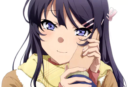 Mai Sakurajima Anime Rascal Does Not Dream of Bunny Girl Senpai HD Desktop Wallpaper | Background Image