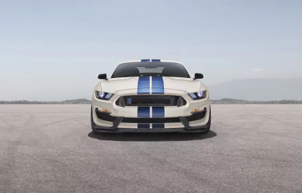 muscle car white car car Ford Ford Mustang Ford Mustang Shelby vehicle Ford Mustang Shelby GT350 HD Desktop Wallpaper | Background Image