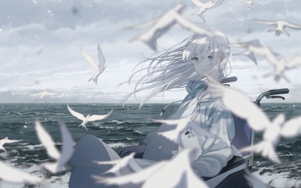 Anime Original Sea Bird Wheelchair HD Wallpaper | Background Image