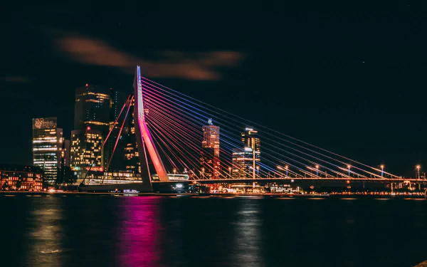 Night cityscape of the man-made Erasmus Bridge and illuminated Rotterdam skyline reflected on water — 5K Ultra HD PC desktop wallpaper and background.