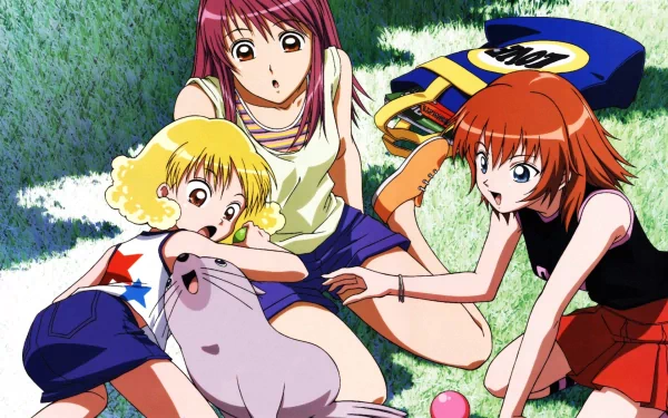 Anime Kaleido Star HD PC desktop wallpaper showing three girls lounging on grass, laughing as they play with a seal plush toy in a bright, summery scene.